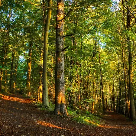 Regiohotel Am Nicolaiplatz - #ferienwohnungen #frischrenoviert #kaffeevollautomat #bestlage