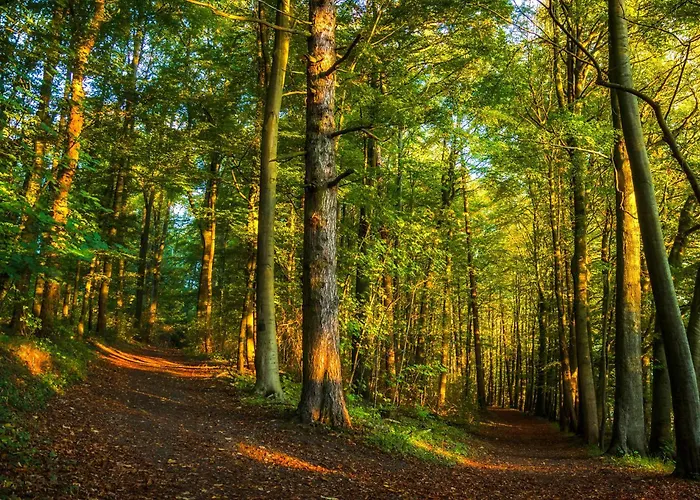 Regiohotel Am Nicolaiplatz - #ferienwohnungen #frischrenoviert #kaffeevollautomat #bestlage